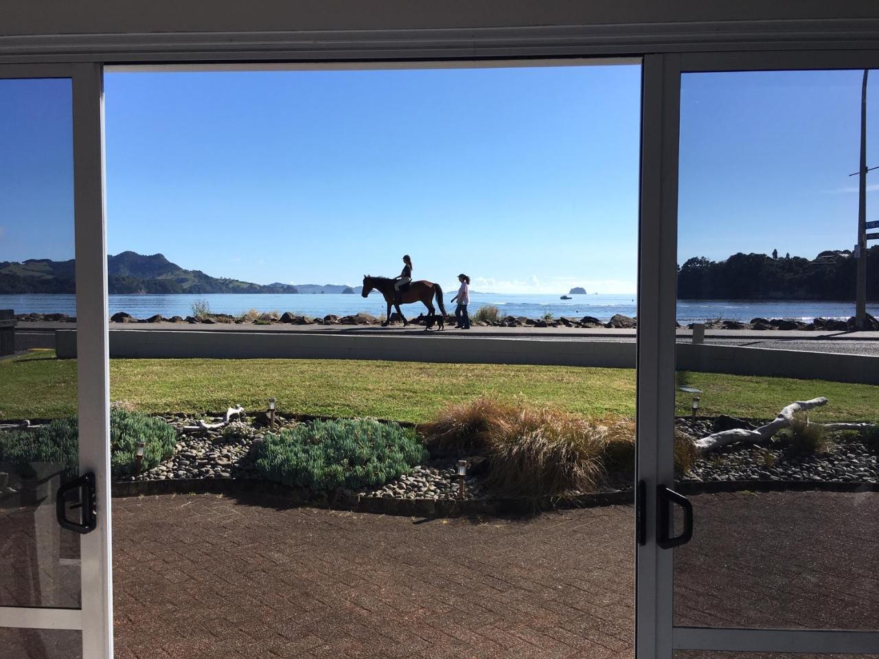 Waterfront Apartments Whitianga Luaran gambar